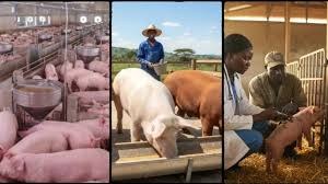 Farm advisory session at NewRose Farm
